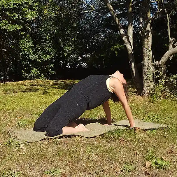 Kenzen Shiatsu et yoga Caluire-et-Cuire, Lyon et sa région