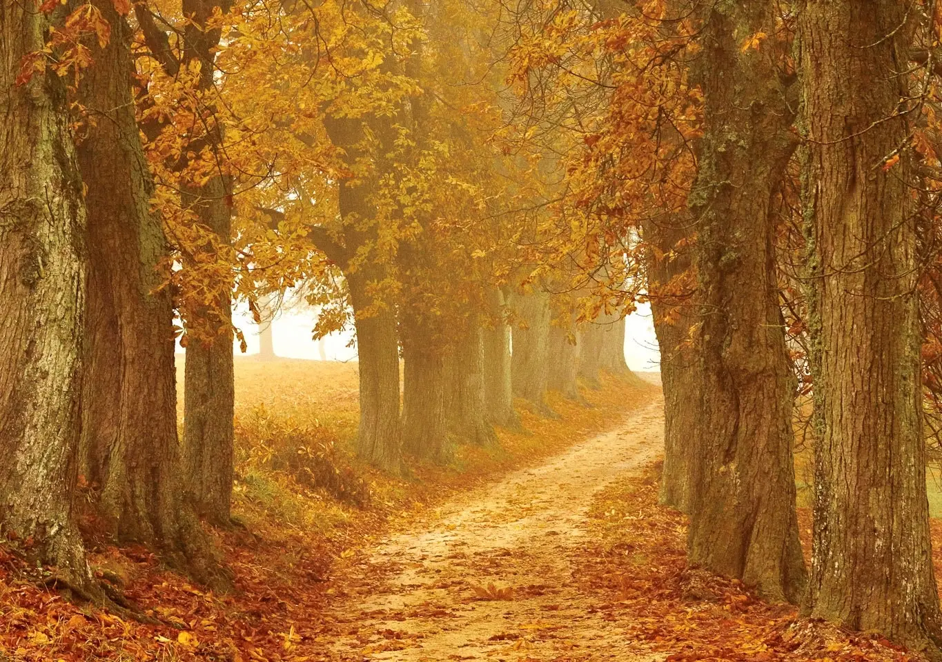 Weekend drainage d’automne