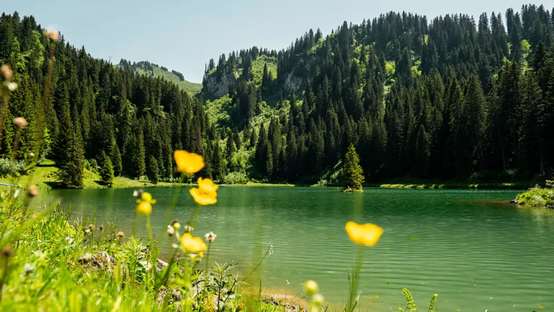 Lac de la Mouille - Balade anti stress