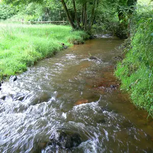 Gîte la Musardière