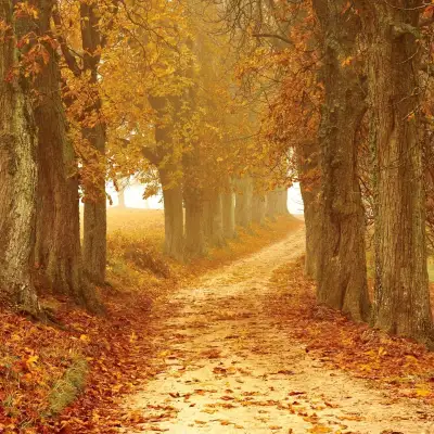 Weekend drainage d’automne